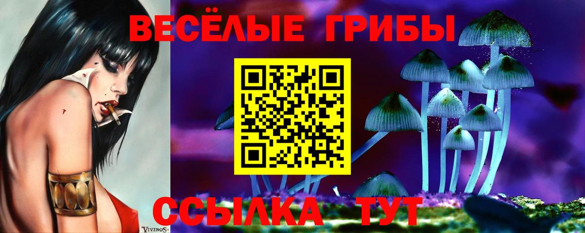 Псилоцибиновые грибы Psilocybe Приморско-Ахтарск