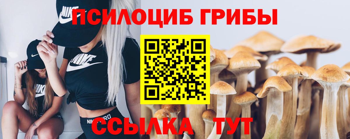 Псилоцибиновые грибы мухоморы  Вход с VPN  Приморско-Ахтарск 